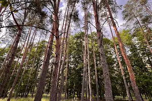 ділянка за адресою смт. Гостомель, 