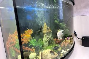 квартира за адресою Г Крут, 42