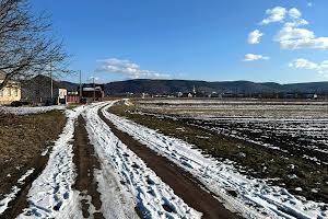 будинок за адресою Шевченка, 7