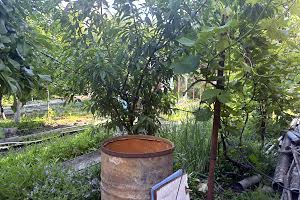 дом по адресу Вишнева, 3