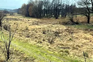 ділянка за адресою Житня вул.