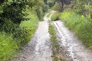 ділянка за адресою Ярославська