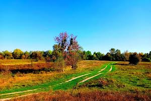 ділянка за адресою с. Клочків, Сновська