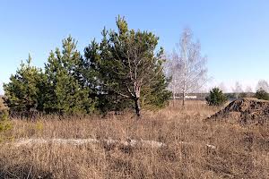 участок по адресу Каштанова