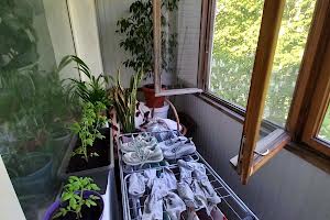 квартира за адресою Академіка Заболотного вул., 21