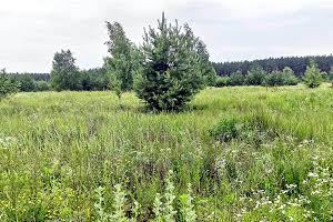 ділянка за адресою кленова