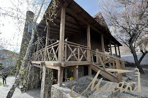 будинок за адресою с. Петропавлівська борщагівка, миколи леонтовича