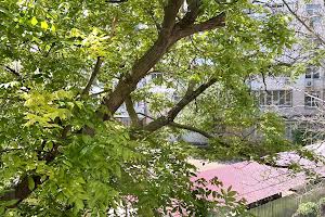 квартира за адресою Фонтанська дорога вул., 47