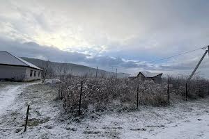 ділянка за адресою с. Невицьке, 