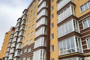 квартира за адресою Максима Залізняка вул., 1В