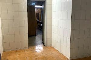комерційна за адресою Перемоги вул., 393