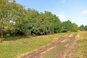 ділянка за адресою Корольова Ак. вул.