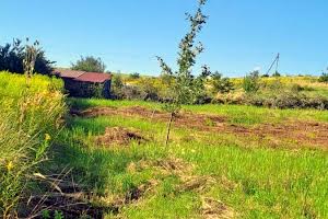 ділянка за адресою лукасевичів