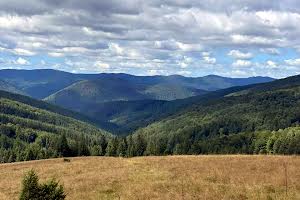 участок по адресу Трисянка