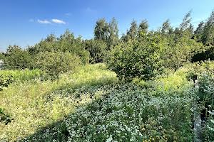 дом по адресу с. Михайловка-Рубежовка, Ганни Михайлової