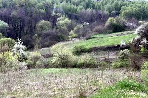 участок по адресу с. Гвоздов, 