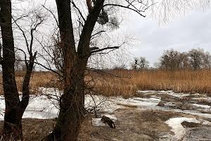 ділянка за адресою с. Свидівок, Шевченка, 111