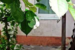 квартира за адресою Винниченка вул., 16