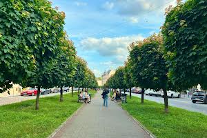 комерційна за адресою Мирослава Скорика вул. (Петра Чайковського), 17