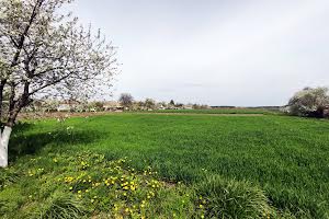 ділянка за адресою с. Головурів, Гарфункіна