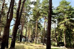дом по адресу Підлісна ул.