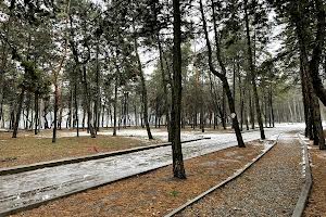 квартира по адресу Александра Поля просп. (Кірова), 129Б