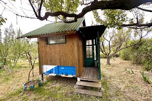 дом по адресу с. Кривая Балка, Нова, 50