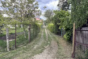 ділянка за адресою Східна, 1