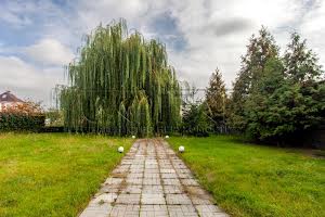 дом по адресу Осокорки