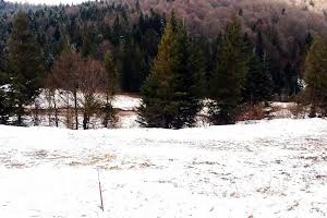 ділянка за адресою Урочище Долинка, 1