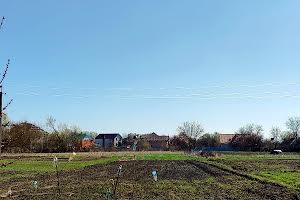 дом по адресу Нова, 26