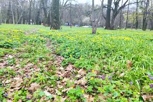 участок по адресу Гніванське шосе