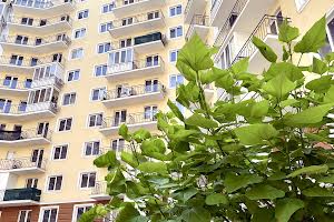 коммерческая по адресу Люстдорфская дорога ул., 100в