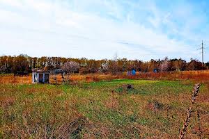 участок по адресу Чернигов, просп Миру