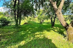 будинок за адресою Шевченка, 58