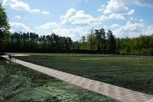 комерційна за адресою Житомир, Лісова, 1