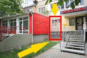 комерційна за адресою Князя Володимира Великого просп., 109а