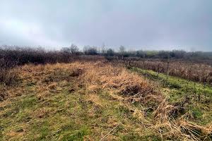 ділянка за адресою с. Великі лази, 