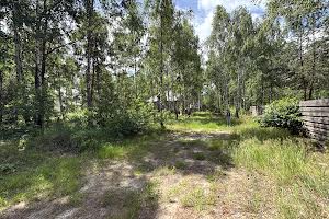 участок по адресу с. Дмитровка, Північна