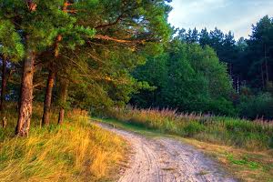 ділянка за адресою с. Зарічани, 