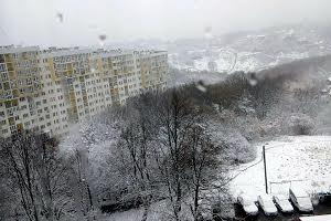 квартира по адресу Лисеницкая ул., 9