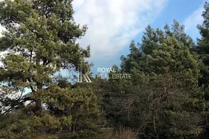 будинок за адресою Савонівська вул.