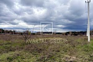 участок по адресу с. Дмитровка, Лісова, 1