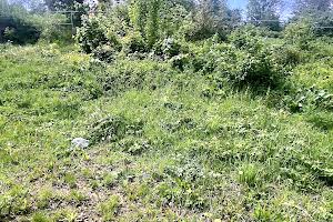 участок по адресу Пластовый пер. (Пионерский)