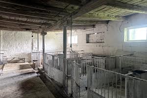 комерційна за адресою Миру, 7