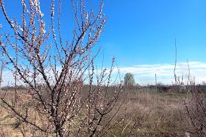 участок по адресу Черкассы, Симиренковская ул. (Рябоконя)