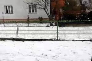 квартира по адресу Степана Бандеры ул., 38