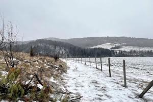 участок по адресу пгт. Верхнее синевидное, 