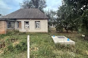 будинок за адресою с. Руська поляна, Мічуріна, 49