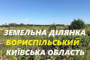 ділянка за адресою Бориспіль, 